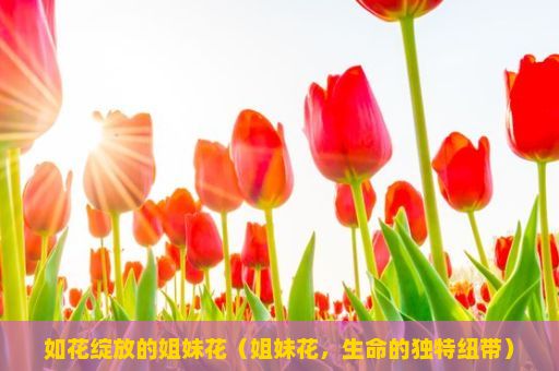 如花绽放的姐妹花（姐妹花，生命的独特纽带）