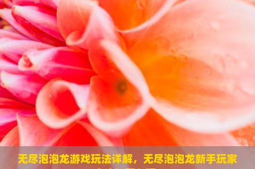 无尽泡泡龙游戏玩法详解，无尽泡泡龙新手玩家应该如何入门？