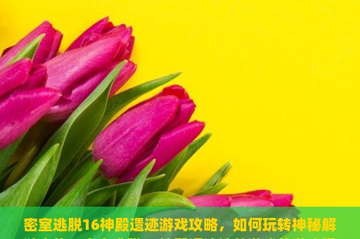 密室逃脱16神殿遗迹游戏攻略，如何玩转神秘解谜之旅，密室逃脱16神殿遗迹这款游戏的游戏玩法是什么？