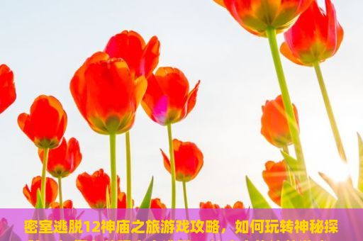 密室逃脱12神庙之旅游戏攻略，如何玩转神秘探险？如何有效玩密室逃脱12神庙之旅这款游戏？