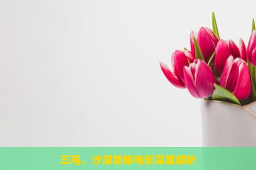 三毛，沙漠新娘电影深度解析