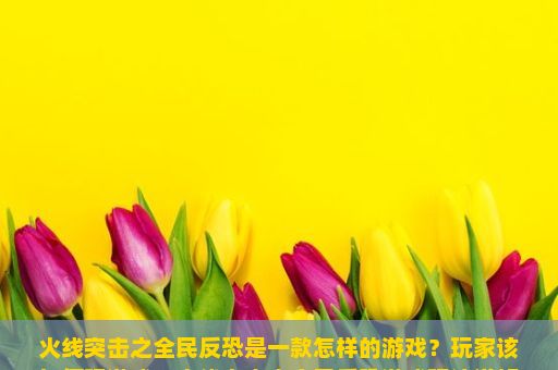 火线突击之全民反恐是一款怎样的游戏？玩家该如何玩游戏？火线突击之全民反恐游戏玩法详解