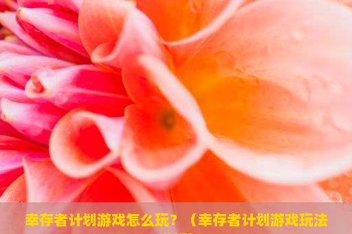 幸存者计划游戏怎么玩？（幸存者计划游戏玩法详解）