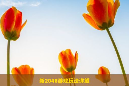 新2048游戏玩法详解