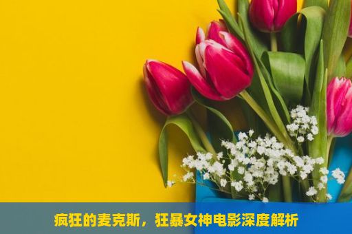 疯狂的麦克斯，狂暴女神电影深度解析