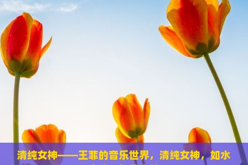 清纯女神——王菲的音乐世界，清纯女神，如水之清，如花之纯