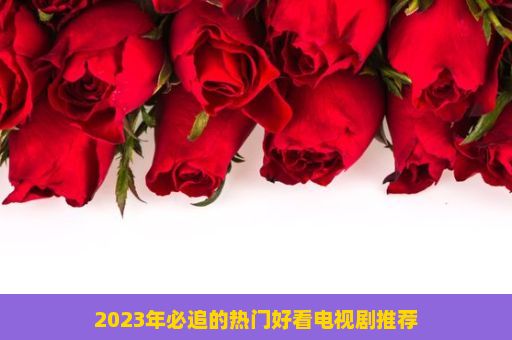 2023年必追的热门好看电视剧推荐