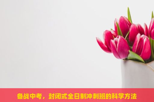 备战中考，封闭式全日制冲刺班的科学方法