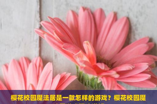 樱花校园魔法居是一款怎样的游戏？樱花校园魔法居游戏玩法详解