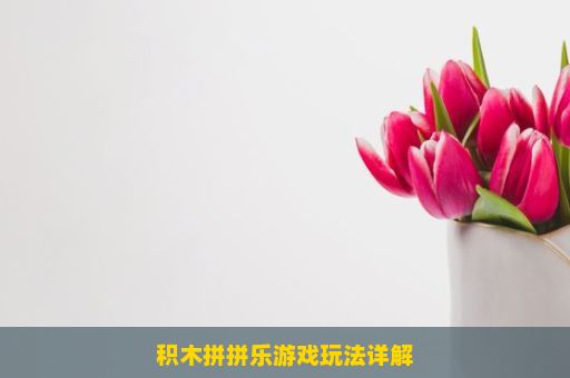 积木拼拼乐游戏玩法详解