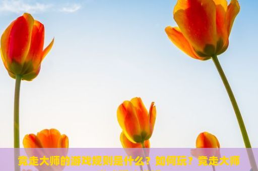 竞走大师的游戏规则是什么？如何玩？竞走大师游戏玩法详解