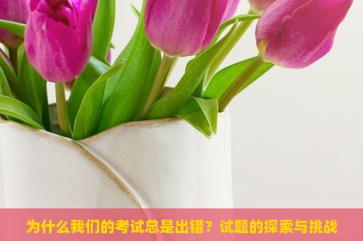 为什么我们的考试总是出错？试题的探索与挑战