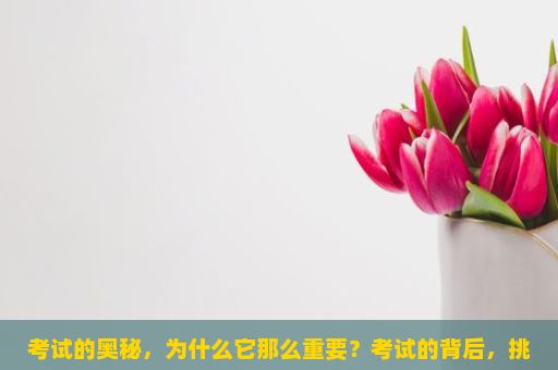 考试的奥秘，为什么它那么重要？考试的背后，挑战与成长