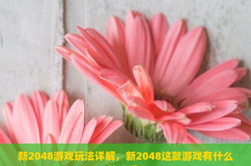 新2048游戏玩法详解，新2048这款游戏有什么秘诀吗？