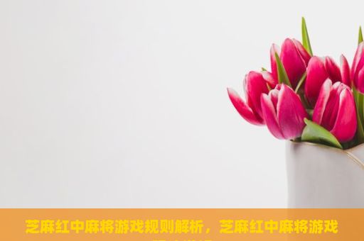 芝麻红中麻将游戏规则解析，芝麻红中麻将游戏玩法详解