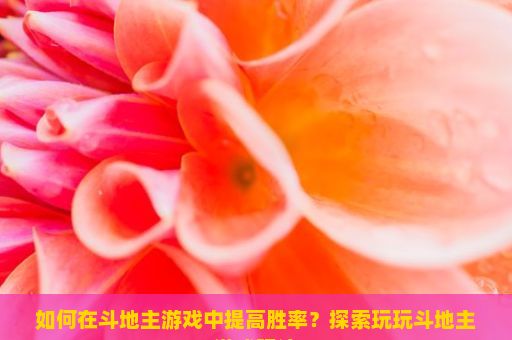 如何在斗地主游戏中提高胜率？探索玩玩斗地主游戏玩法