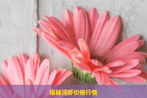 揭秘河虾价格行情