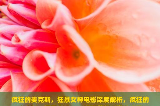 疯狂的麦克斯，狂暴女神电影深度解析，疯狂的麦克斯，狂暴女神，一部视觉和听觉的盛宴