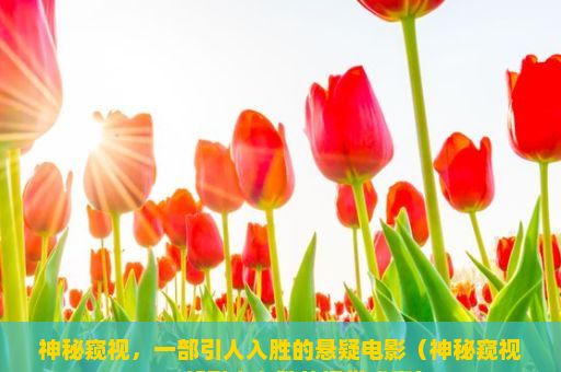 神秘窥视，一部引人入胜的悬疑电影（神秘窥视，一部引人入胜的视觉盛宴）