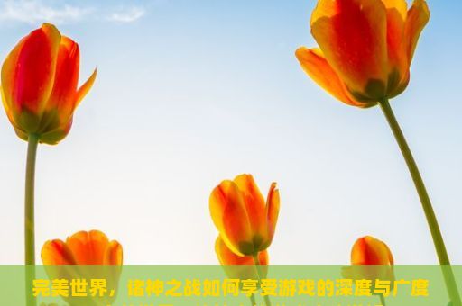 完美世界，诸神之战如何享受游戏的深度与广度？完美世界，诸神之战游戏攻略详解