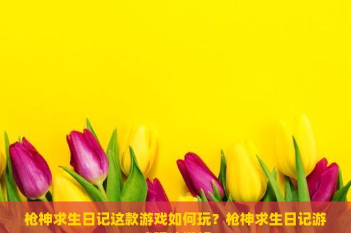 枪神求生日记这款游戏如何玩？枪神求生日记游戏玩法详解