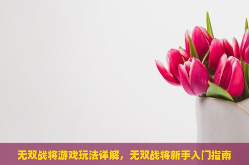 无双战将游戏玩法详解，无双战将新手入门指南