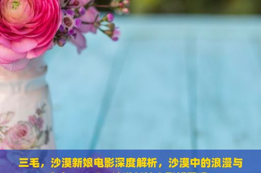 三毛，沙漠新娘电影深度解析，沙漠中的浪漫与真实，三毛，沙漠新娘电影好看吗？