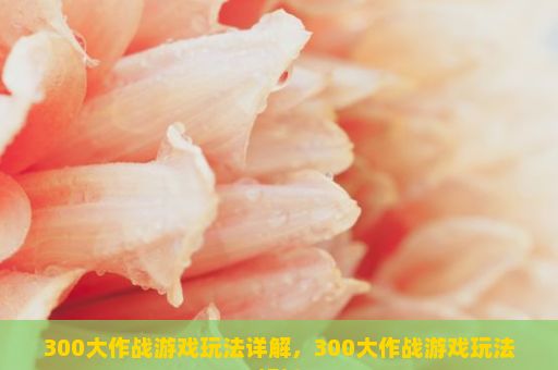 300大作战游戏玩法详解，300大作战游戏玩法解析