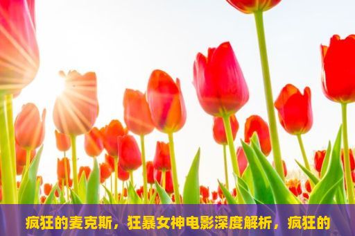 疯狂的麦克斯，狂暴女神电影深度解析，疯狂的麦克斯，狂暴女神，一次震撼视觉和听觉的体验