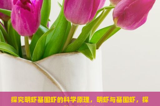 探究明虾基围虾的科学原理，明虾与基围虾，探秘海鲜之魅