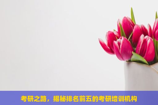 考研之路，揭秘排名前五的考研培训机构