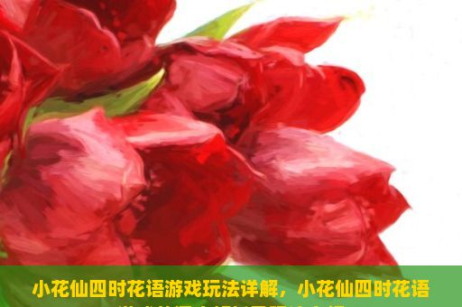 小花仙四时花语游戏玩法详解，小花仙四时花语游戏的深度解析及玩法介绍