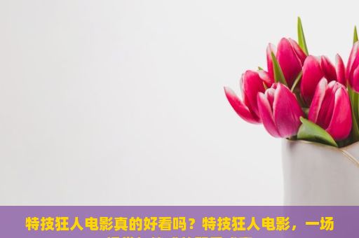 特技狂人电影真的好看吗？特技狂人电影，一场视觉与情感的双重盛宴