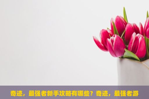 奇迹，最强者新手攻略有哪些？奇迹，最强者游戏攻略指南