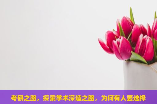 考研之路，探索学术深造之路，为何有人要选择考研？