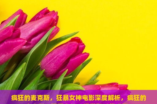 疯狂的麦克斯，狂暴女神电影深度解析，疯狂的麦克斯，狂暴女神，视觉和听觉盛宴？