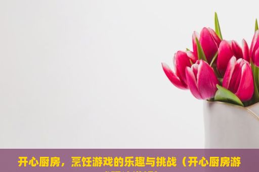 开心厨房，烹饪游戏的乐趣与挑战（开心厨房游戏玩法详解）