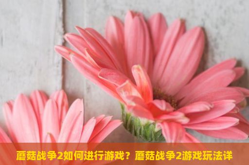 蘑菇战争2如何进行游戏？蘑菇战争2游戏玩法详解