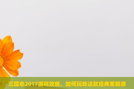 三国志2017游戏攻略，如何玩转这款经典策略游戏？三国志2017这款游戏如何玩？