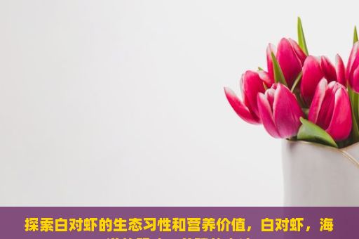 探索白对虾的生态习性和营养价值，白对虾，海洋的明珠，养殖的奇迹