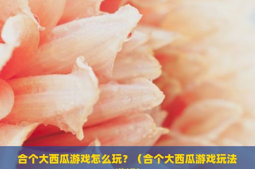 合个大西瓜游戏怎么玩？（合个大西瓜游戏玩法详解）