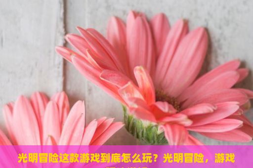 光明冒险这款游戏到底怎么玩？光明冒险，游戏玩法详解