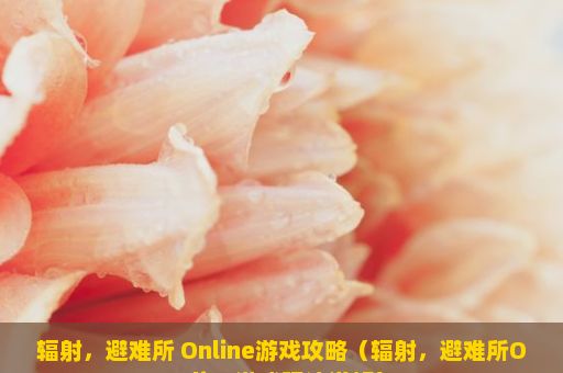 辐射，避难所 Online游戏攻略（辐射，避难所Online游戏玩法详解）