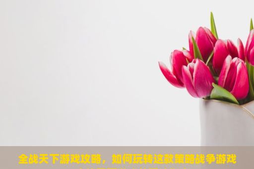 全战天下游戏攻略，如何玩转这款策略战争游戏？全战天下游戏的玩法指南