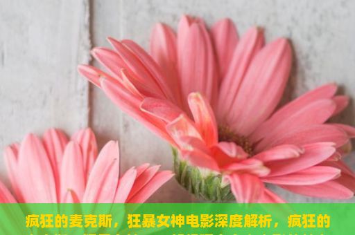 疯狂的麦克斯，狂暴女神电影深度解析，疯狂的麦克斯，狂暴女神，一部超现实主义电影的魅力所在