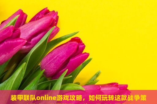 装甲联队online游戏攻略，如何玩转这款战争策略游戏？装甲联队Online游戏入门指南