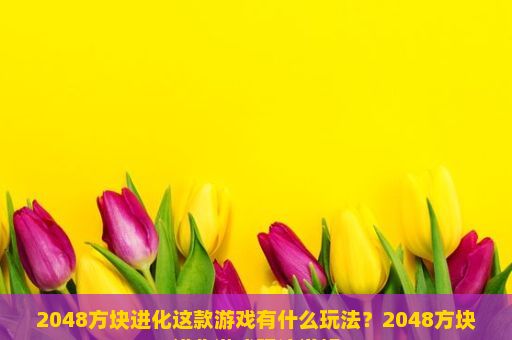 2048方块进化这款游戏有什么玩法？2048方块进化游戏玩法详解