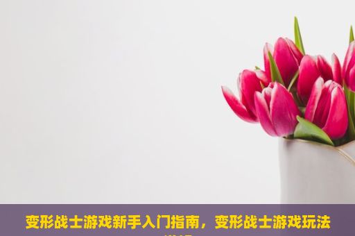 变形战士游戏新手入门指南，变形战士游戏玩法详解