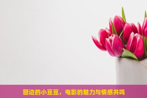 窗边的小豆豆，电影的魅力与情感共鸣