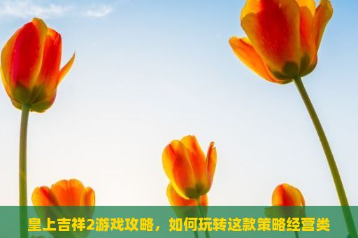 皇上吉祥2游戏攻略，如何玩转这款策略经营类游戏？皇上的吉祥2游戏玩法解析